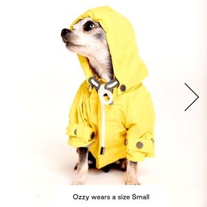 MaxBone Small Dog Rain Jacket